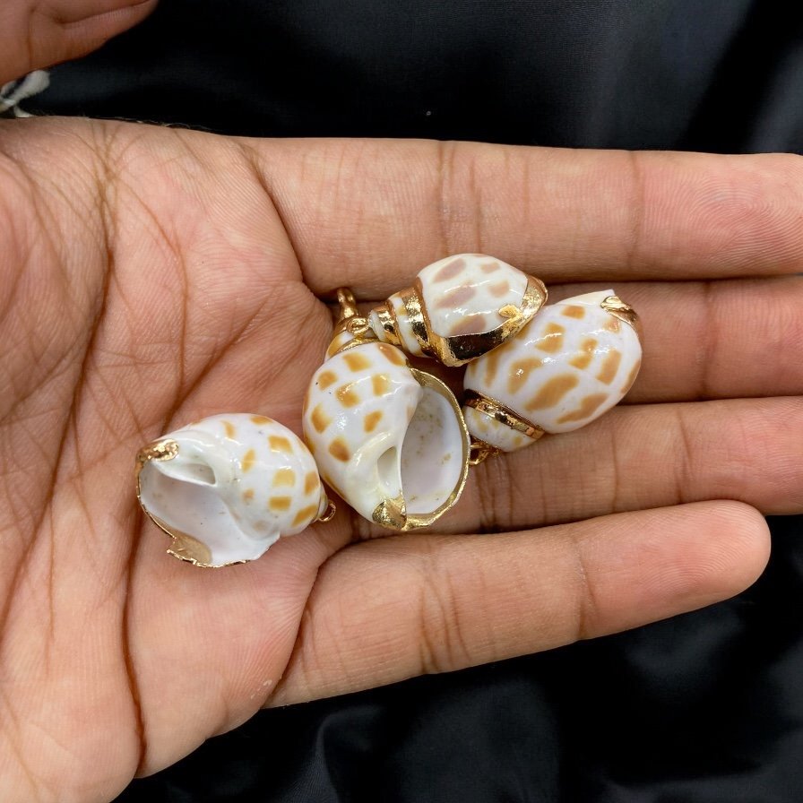 Natural Shell with Hook | Export Quality Imitation Jewellery Quantity - 1