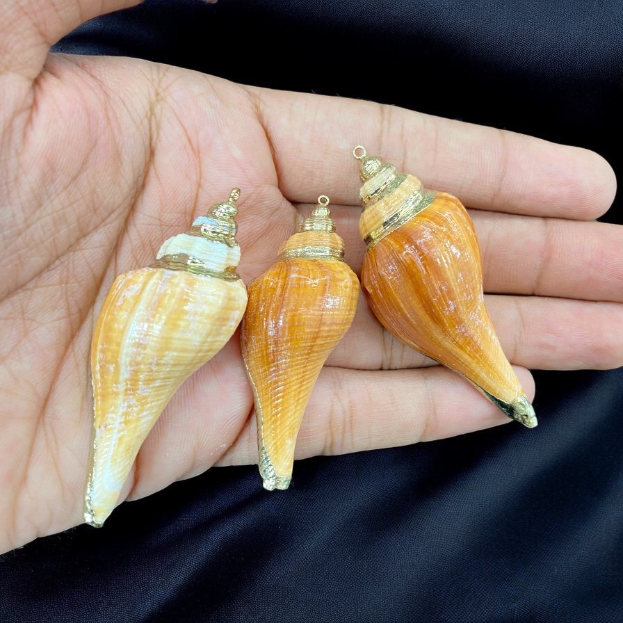 Natural Shell with Hook | Export Imitation Jewellery Quantity - 1