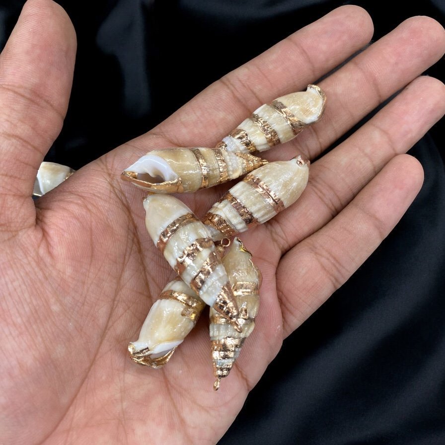Natural Shell with Hook | Export Imitation Jewellery Quantity - 1