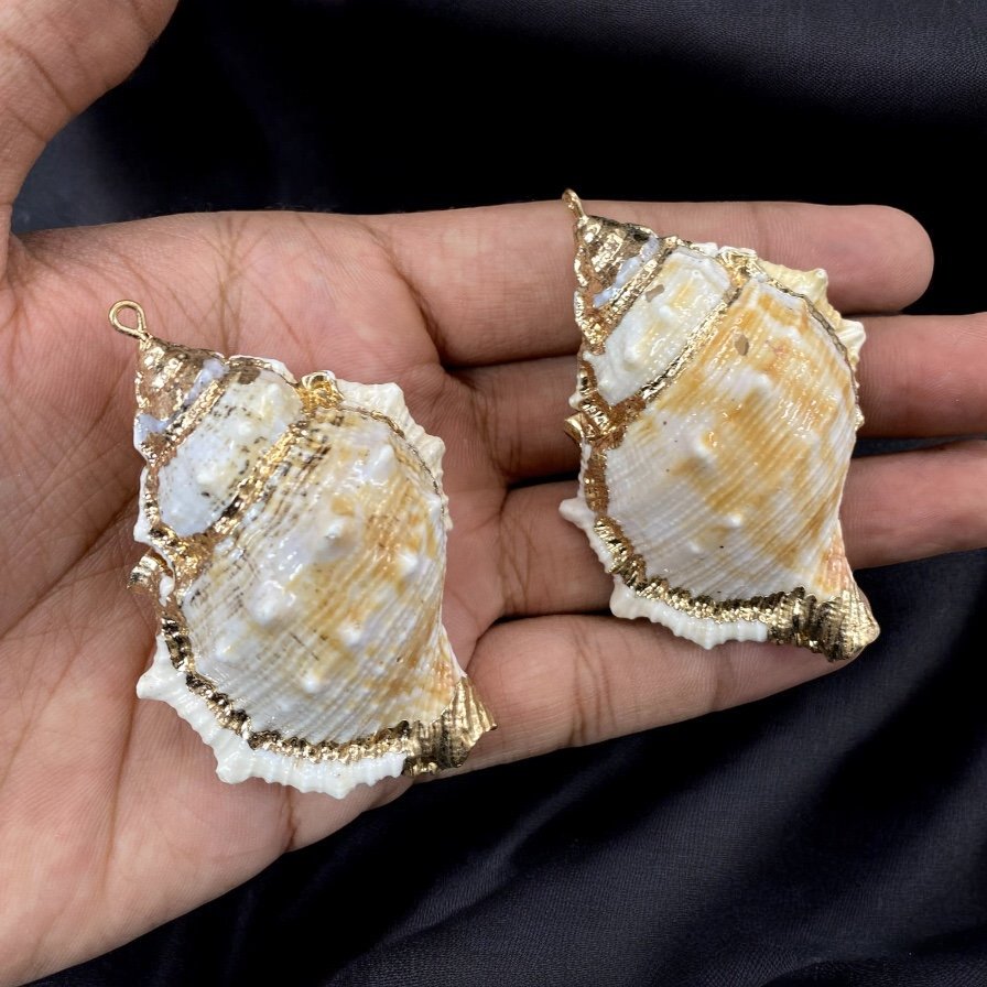 Natural Shell with Hook | Export Quality Imitation Raw Material Imitation Jewellery Quantity - 1